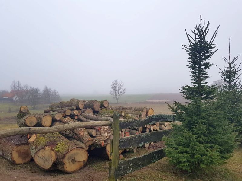 Tymawa dom Tymawa dom