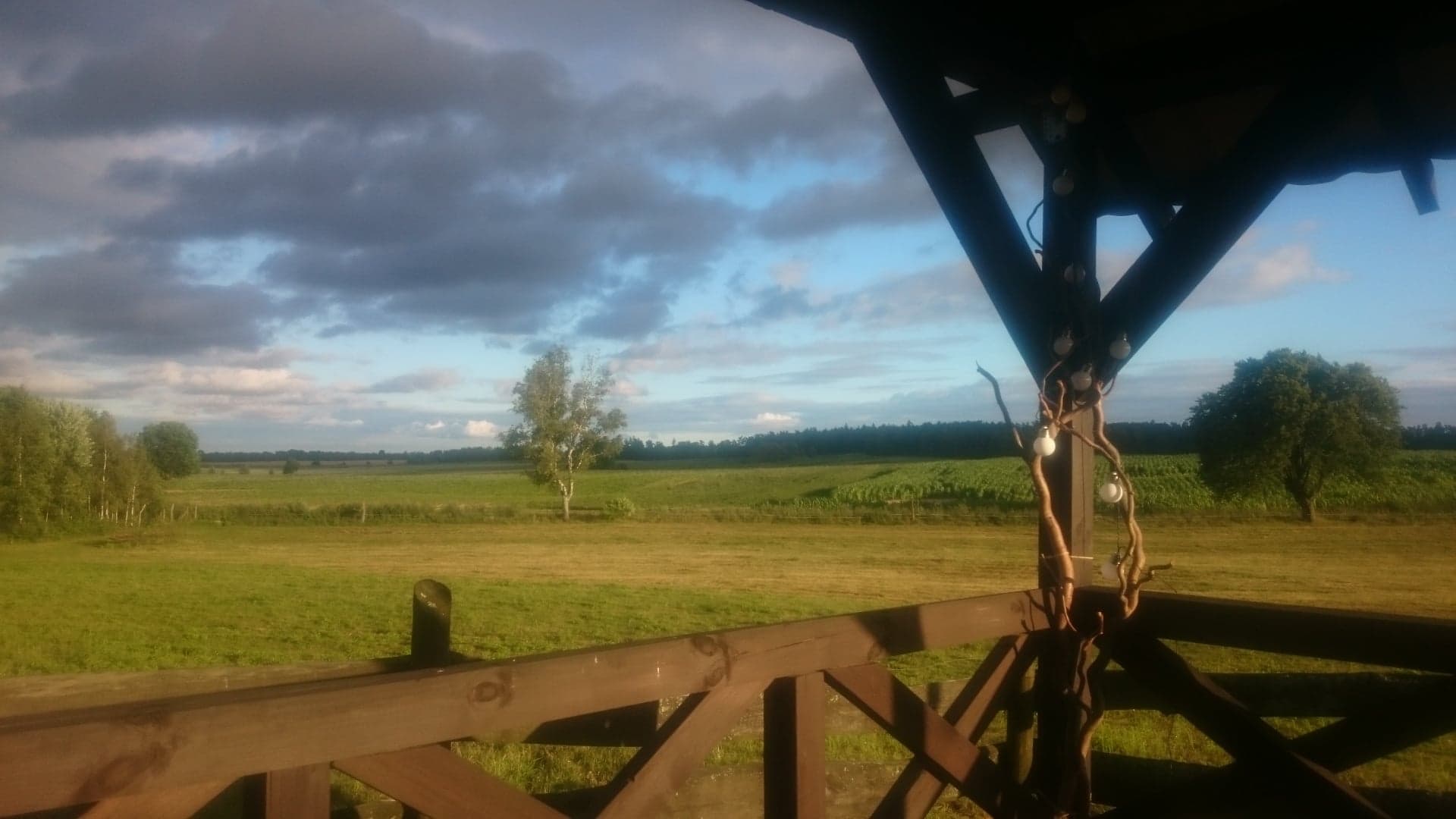 Tymawa widok z wiaty