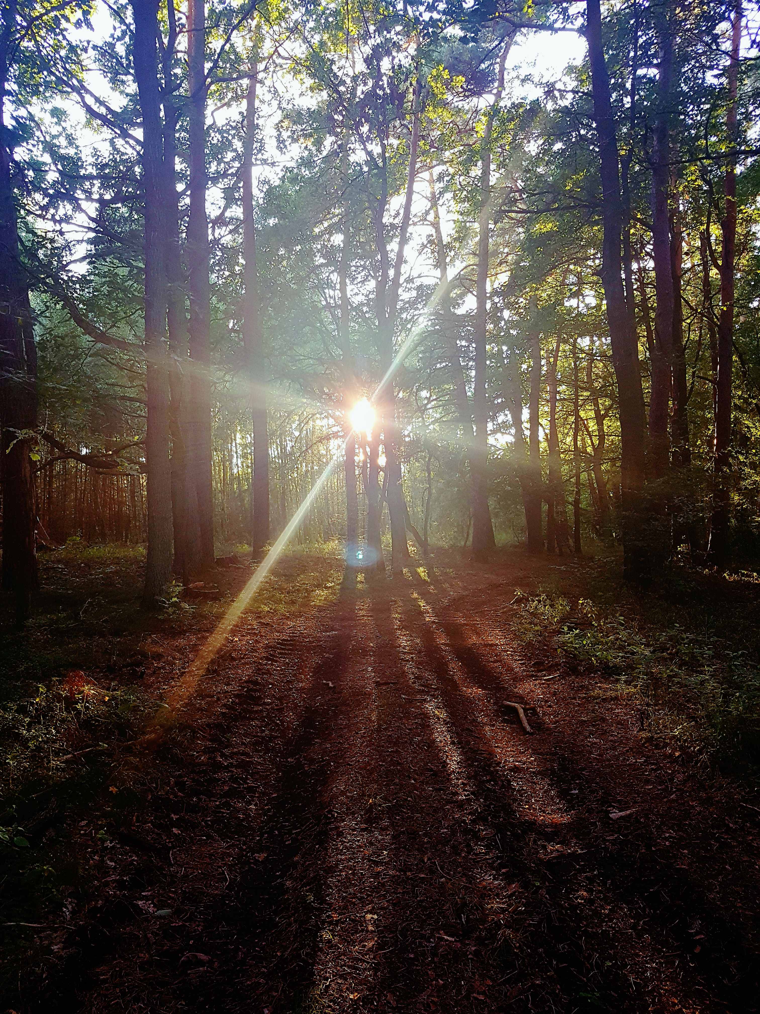 Widoki Tymawy (10) Widoki Tymawy (10)