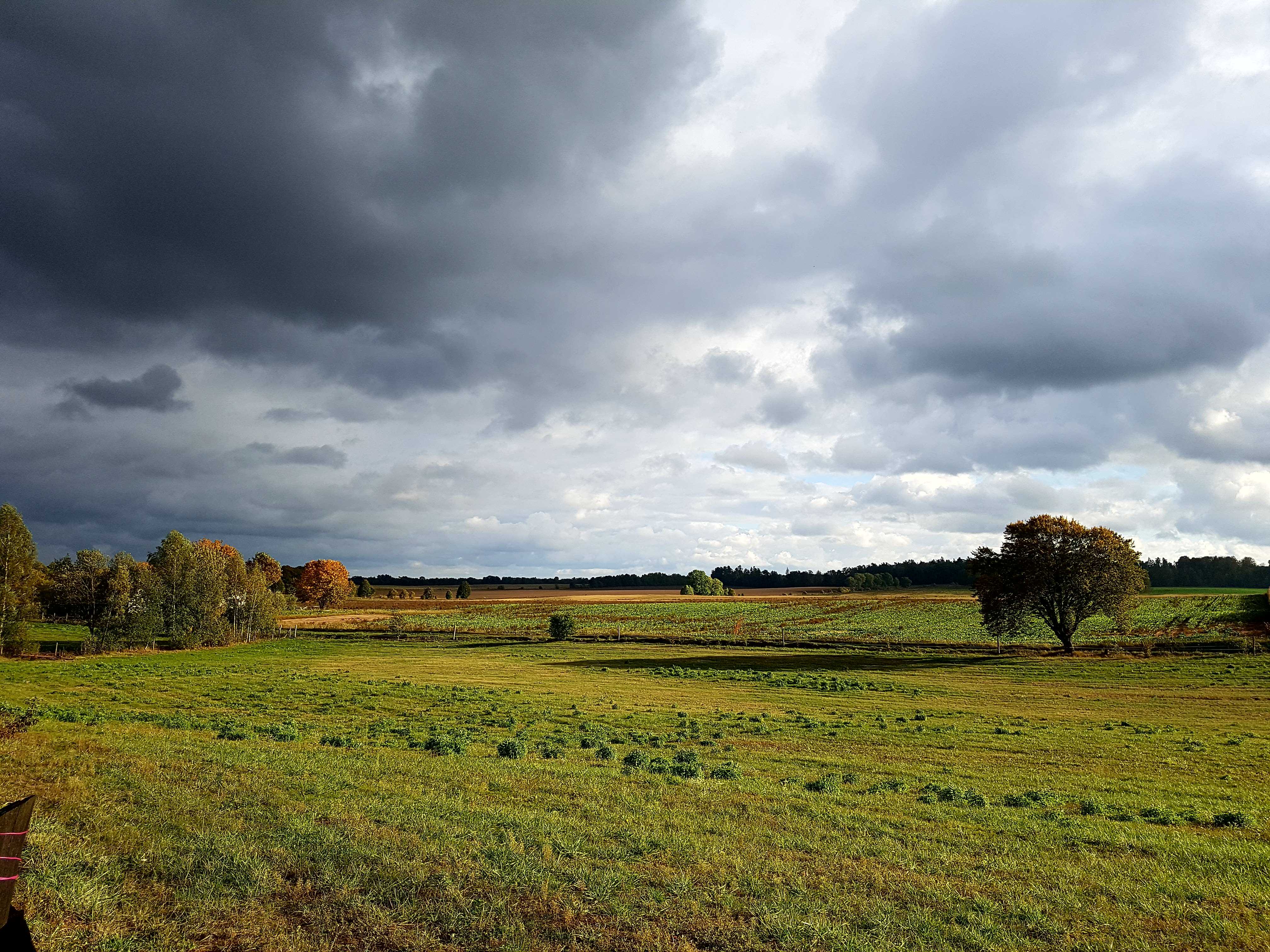 Widoki Tymawy (13) Widoki Tymawy (13)