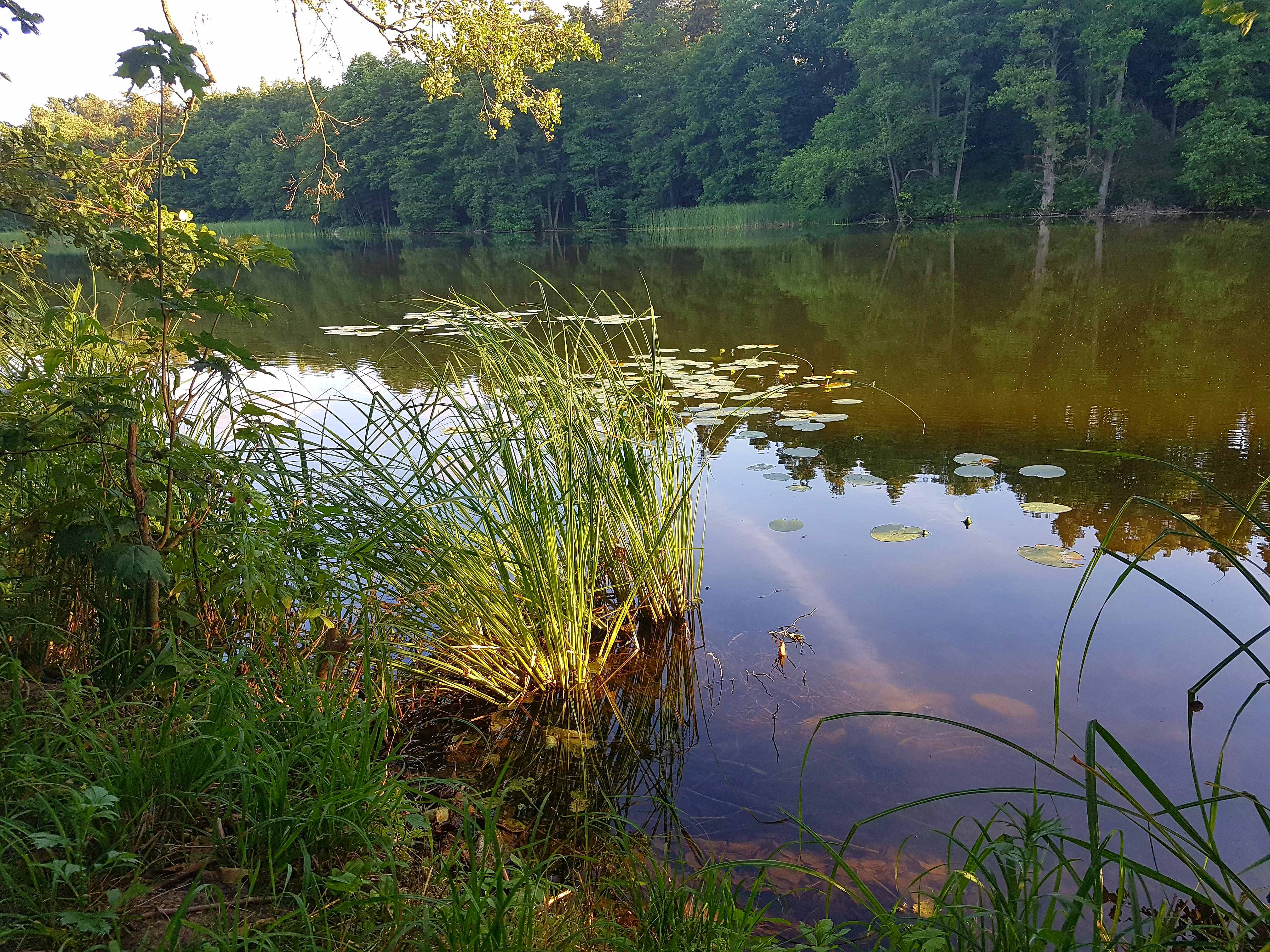 Widoki Tymawy (4) Widoki Tymawy (4)