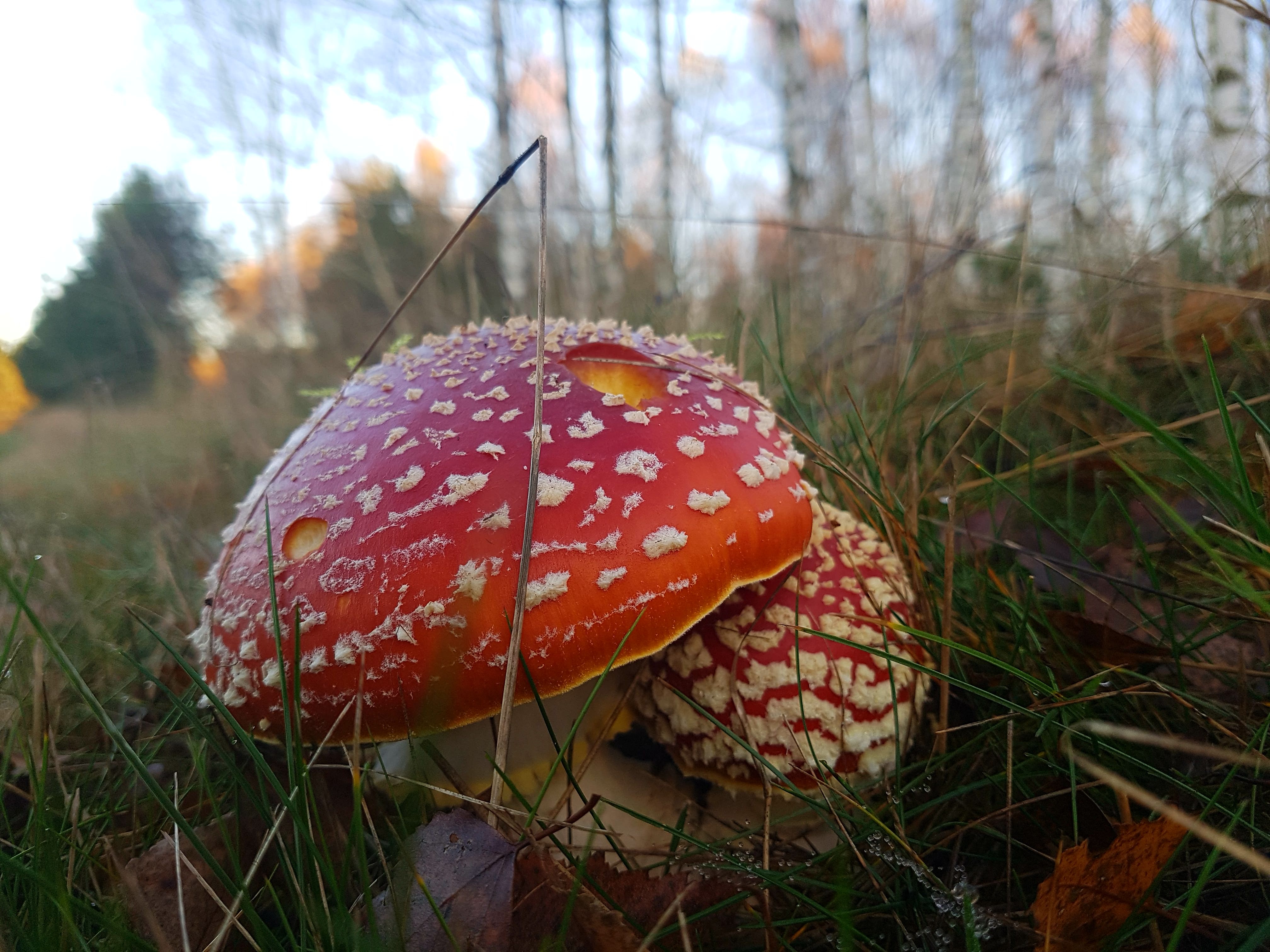 Widoki Tymawy (7) Widoki Tymawy (7)