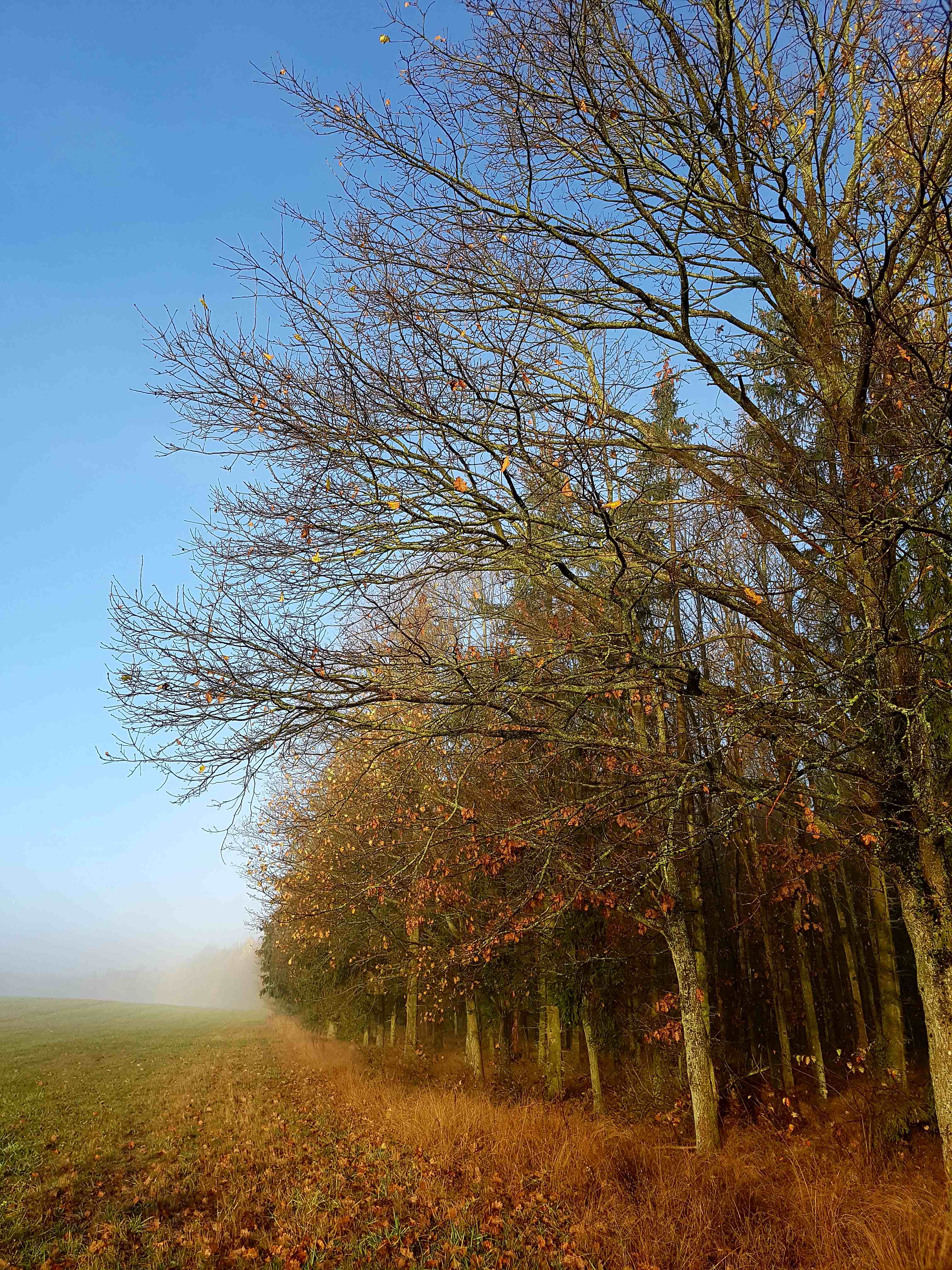 Widoki Tymawy (8) Widoki Tymawy (8)