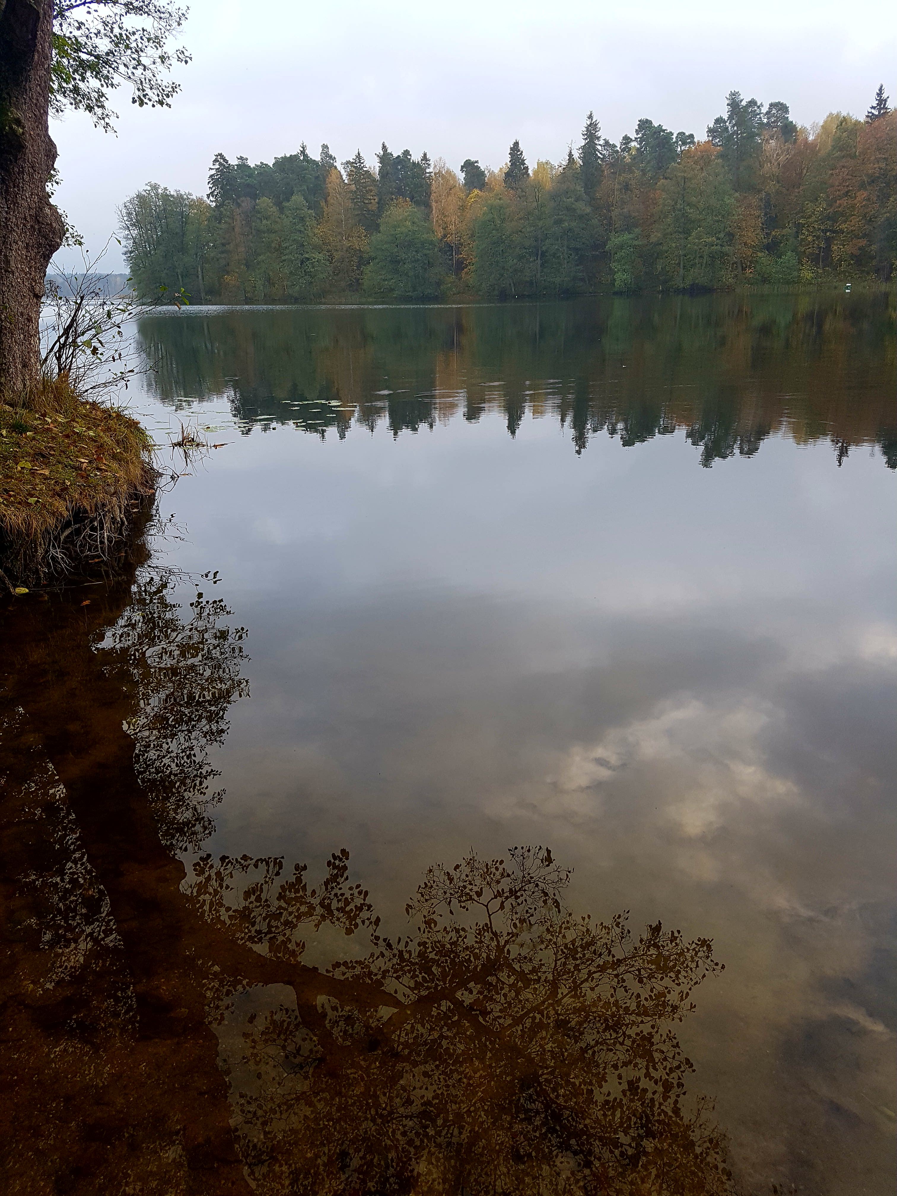 Widoki Tymawy (9) Widoki Tymawy (9)